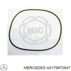 Купити A0179972847 Mercedes Сальник редуктора заднього моста