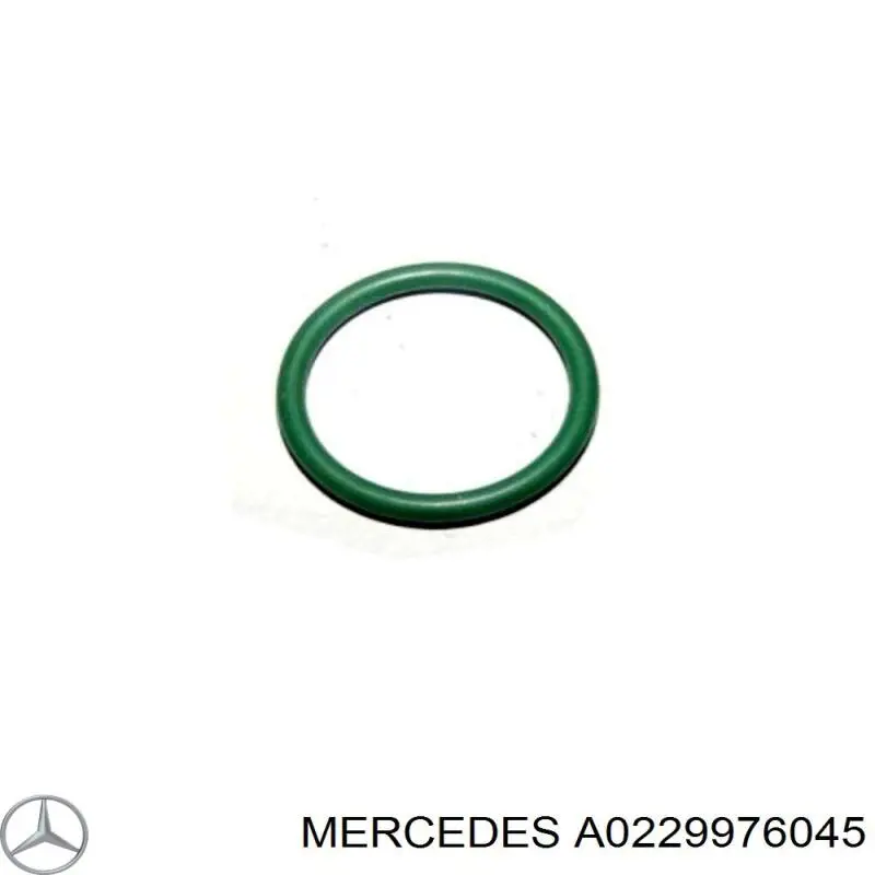 A0229976045 Mercedes Кільце інжектора