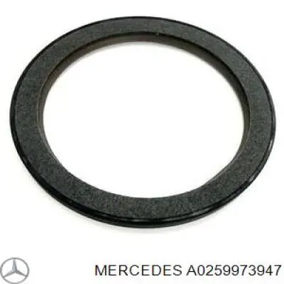 A0259973947 Mercedes Сальник колінчастого валу