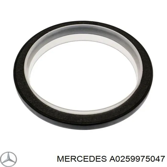  A0259975047 Mercedes