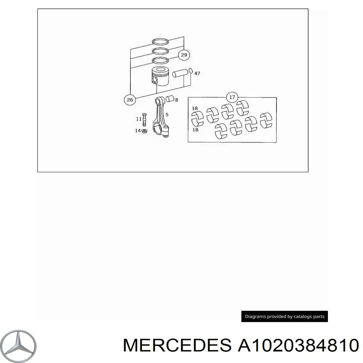  A1020384810 Mercedes