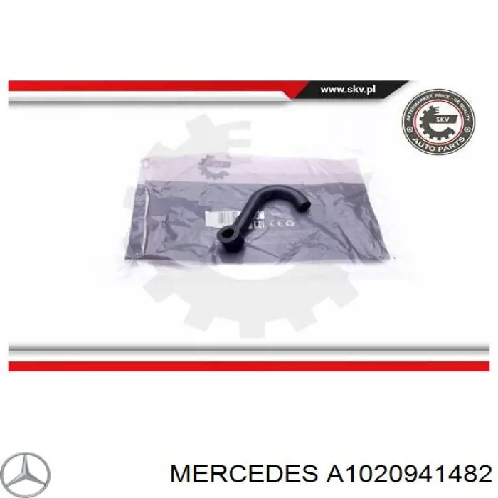  1020941482 Mercedes