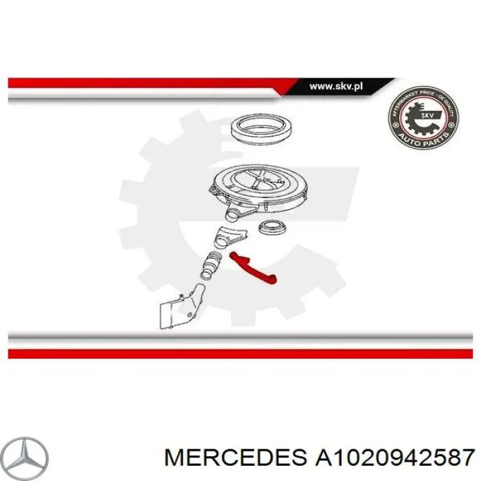 Купити A1020942587 Mercedes Шланг для видалення повітря