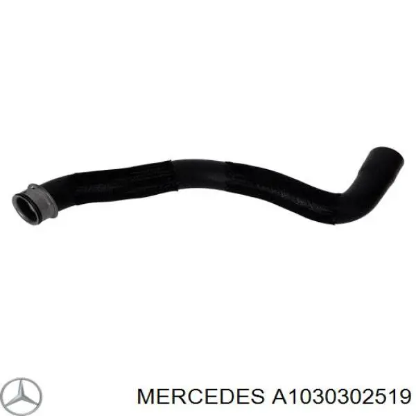Поршень в комплекті на 1 циліндр, 4-й ремонт (+1,00) Mercedes A1030302519 ціна, від 312.32 USD