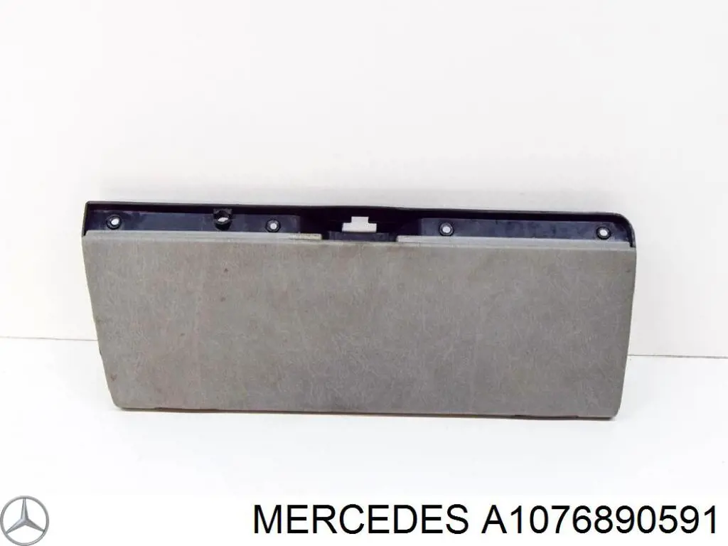 A1076890591 Mercedes 
