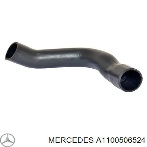 A1100506524 Mercedes Напрямна клапана