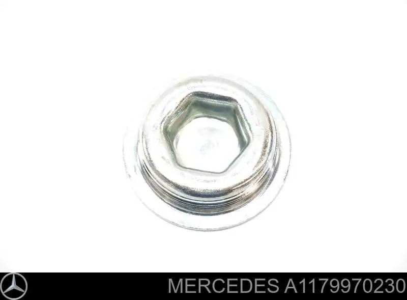 Купити A1179970230 Mercedes Заглушка блоку циліндрів