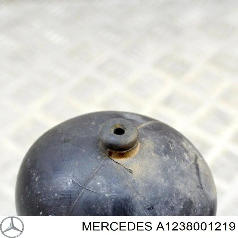 Купити A1238001219 Mercedes 