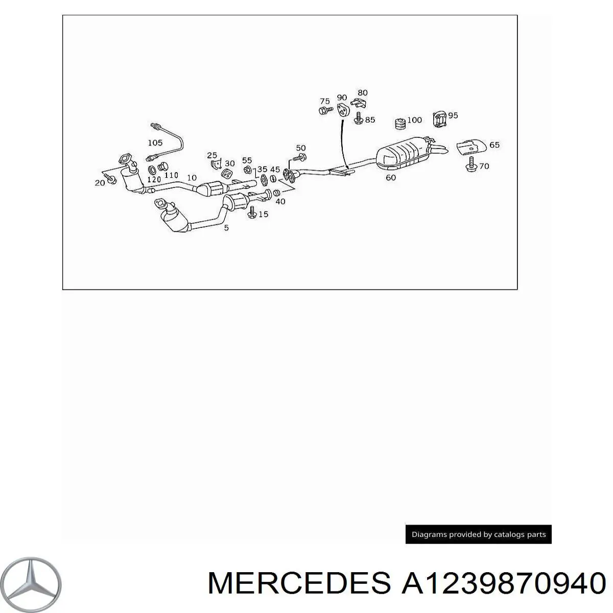 A1239870940 Mercedes 