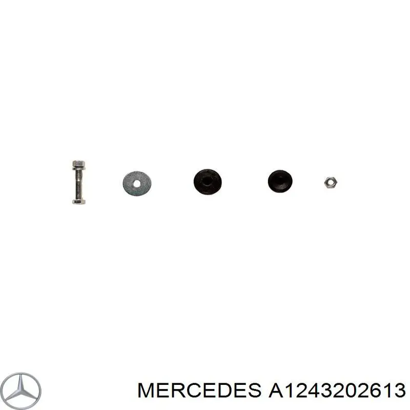 Амортизатор задній Mercedes A1243202613 ціна, від 488.85 USD
