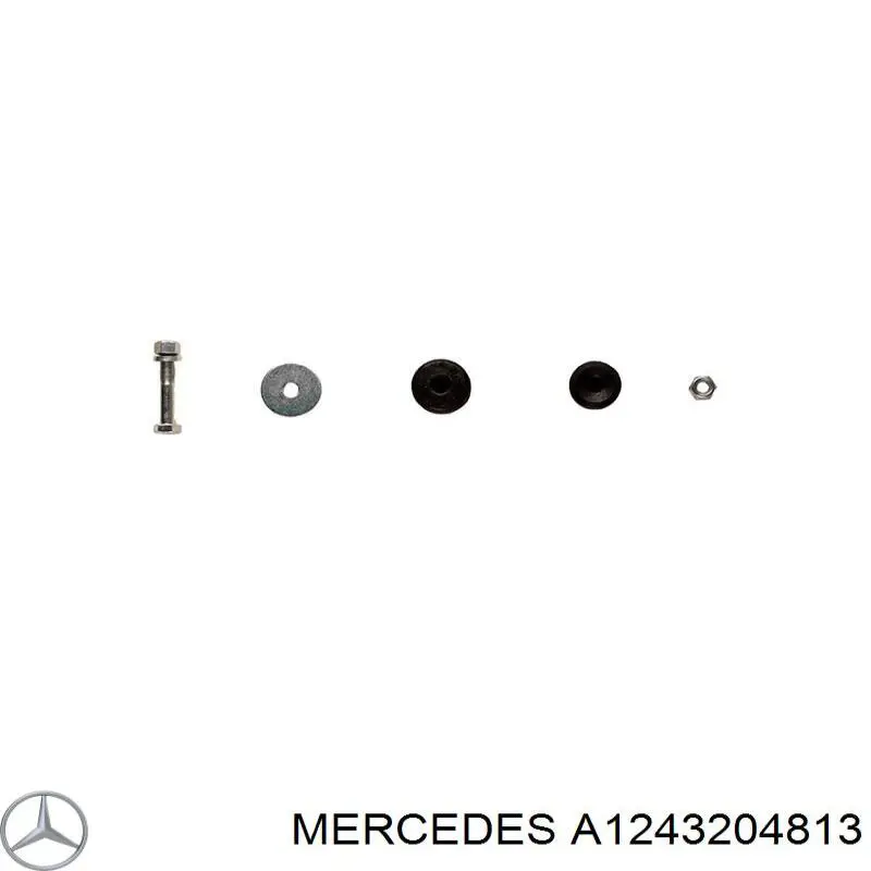 A1243204813 Mercedes 