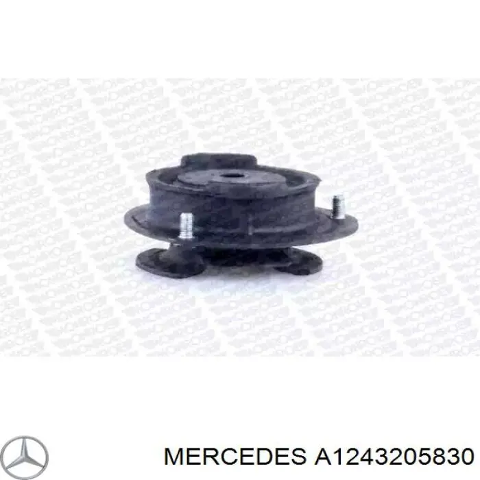 1243205830 Mercedes амортизатор передній