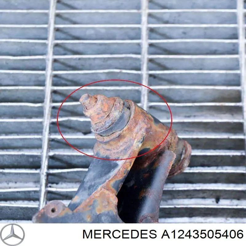 A1243505406 Mercedes Важелі задньої підвіски