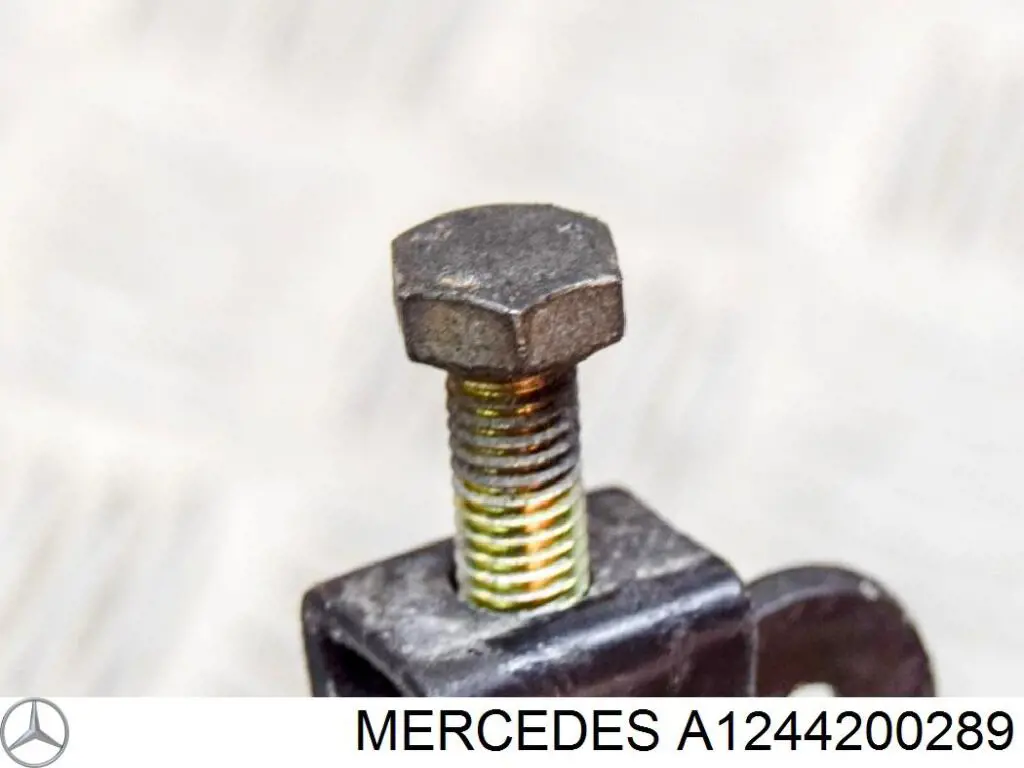  A1244200289 Mercedes
