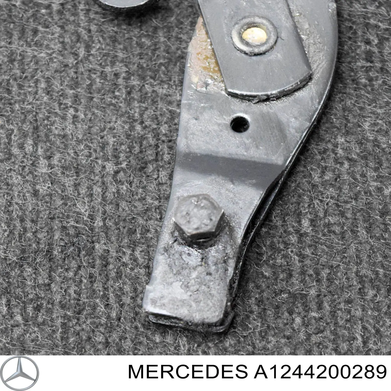 A1244200289 Mercedes 
