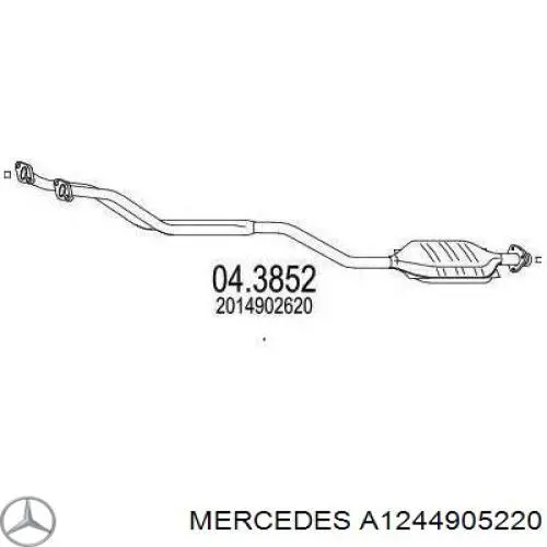 Купити A1244905220 Mercedes Перетворювач відпрацьованих газів