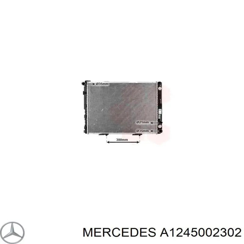 A1245002302 Mercedes радіатор охолодження двигуна