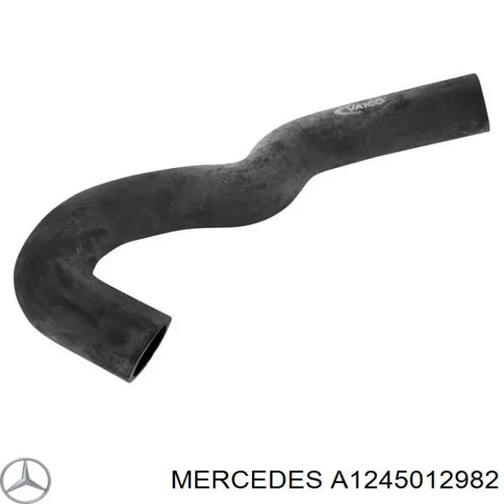 A1245012982 Mercedes шланг/патрубок радіатора охолодження, нижній