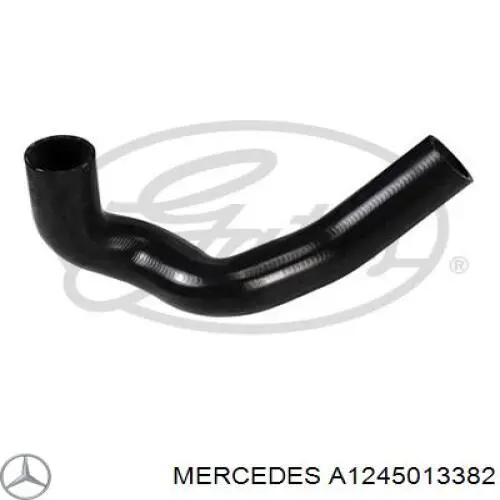 Купити A1245013382 Mercedes Шланг/патрубок радіатора охолодження, нижній