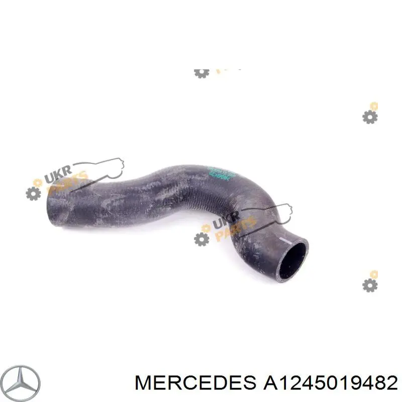 Купити A1245019482 Mercedes Шланг/патрубок радіатора охолодження, верхній
