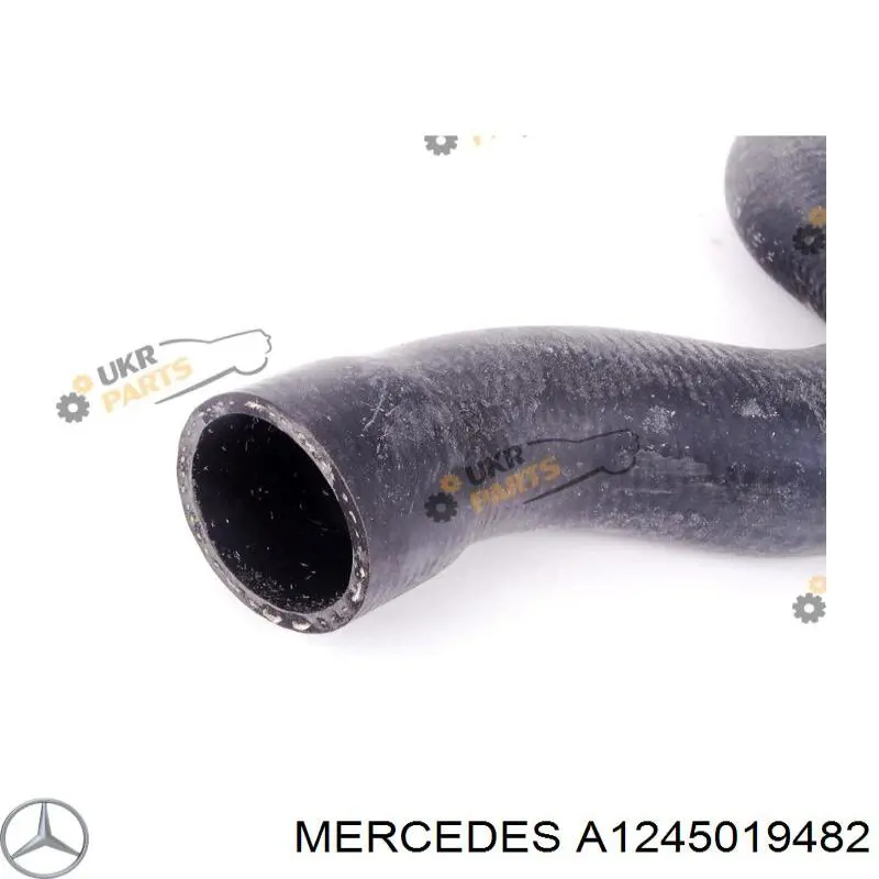 A1245019482 Mercedes шланг/патрубок радіатора охолодження, верхній