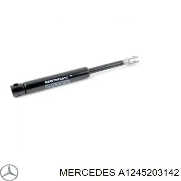 A1245203142 Mercedes Захист піддона двигуна