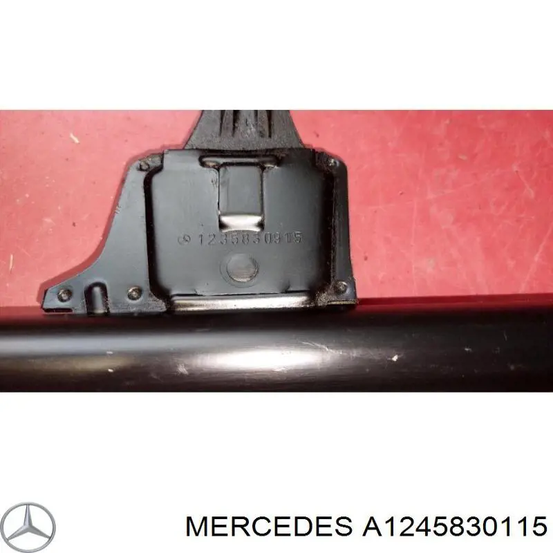 A1245830115 Mercedes 