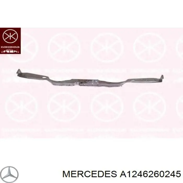 A1246260245 Mercedes рамка/облицювання фари правої