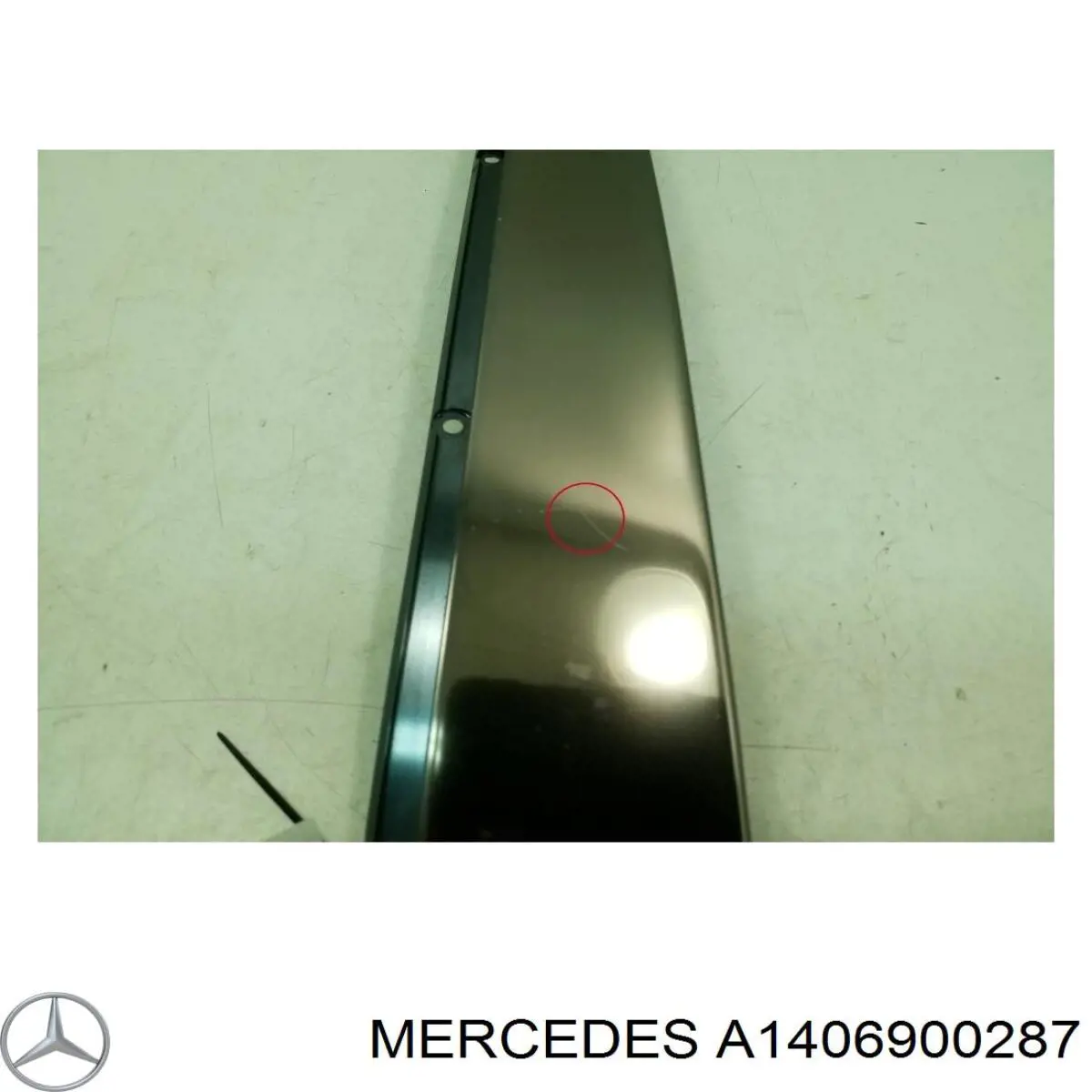 A1406900287 Mercedes 