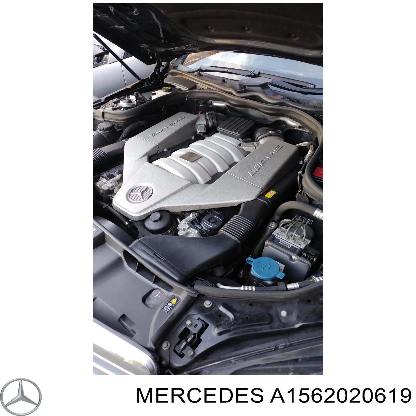 Ролик приводного ременя, паразитний Mercedes A1562020019 ціна, від 11.92 USD