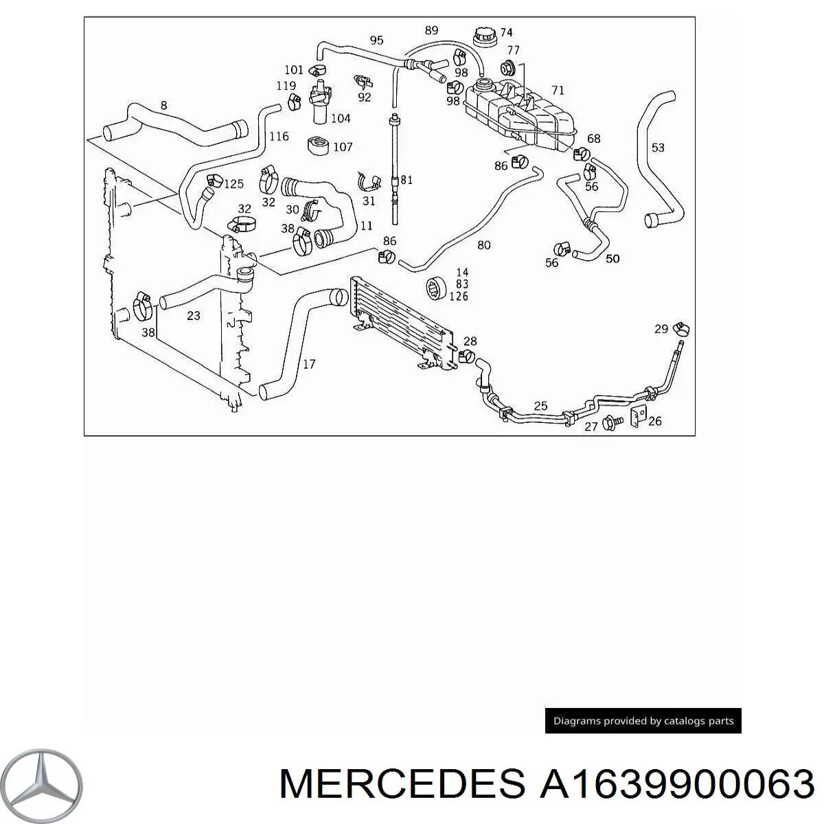 A1639900063 Mercedes 