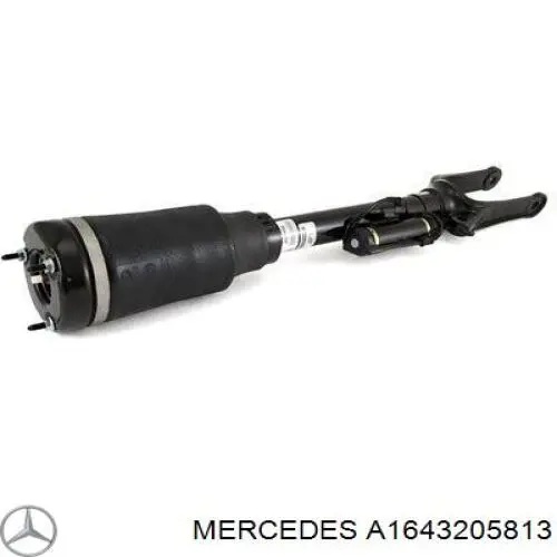 Амортизатори передні Mercedes A1643205813