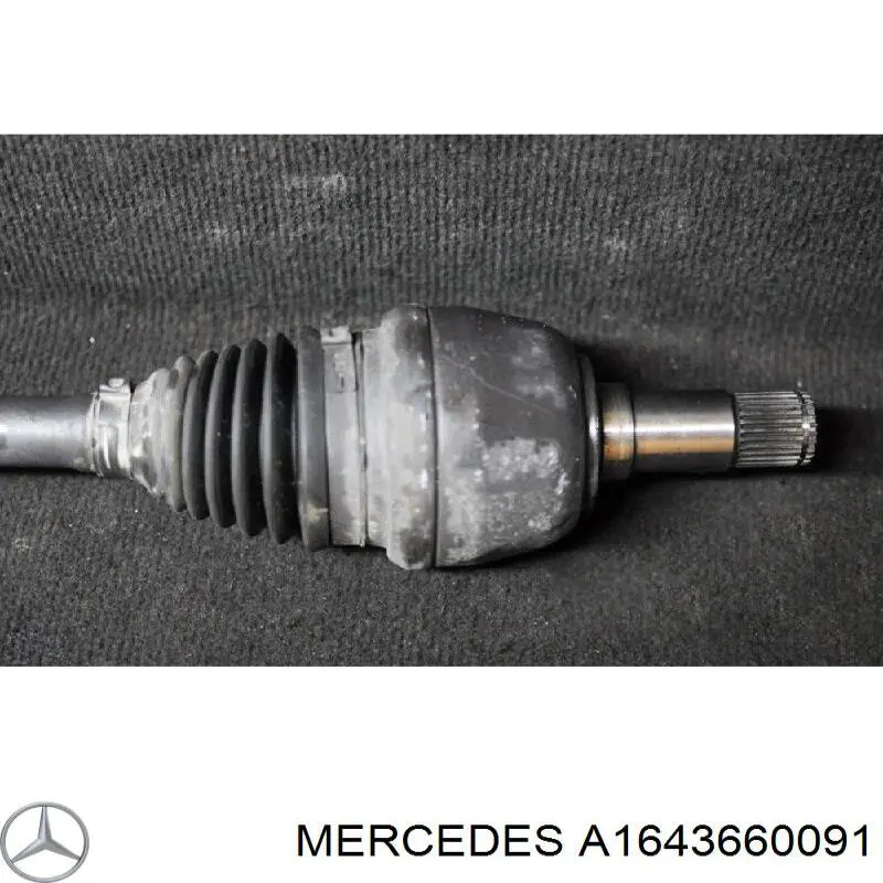 A1643660091 Mercedes 