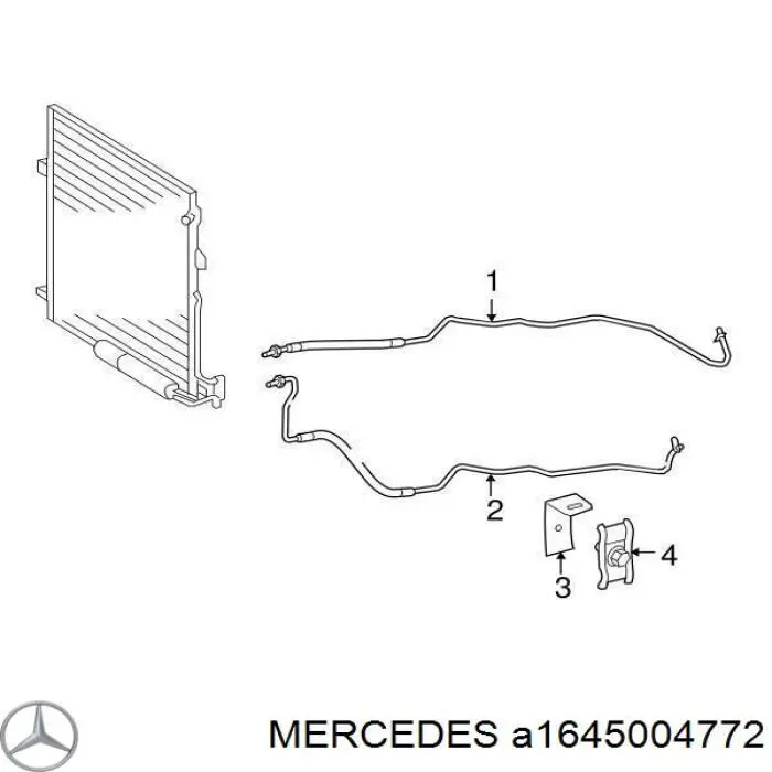 1645004772 Mercedes 