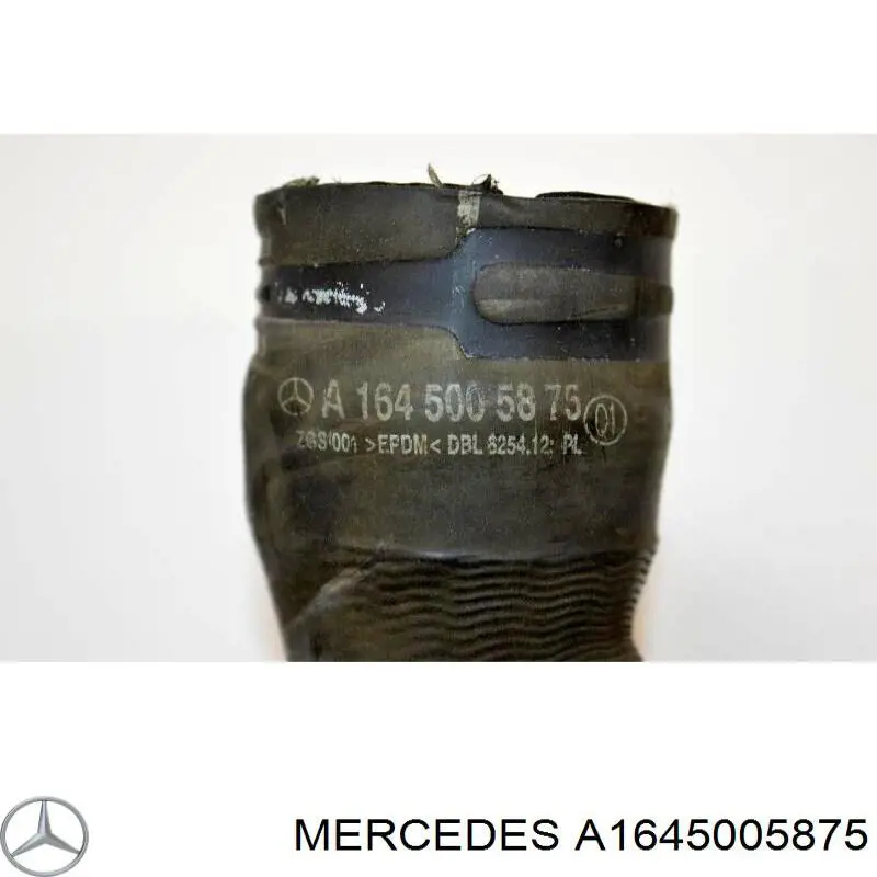 Купити A1645005875 Mercedes Шланг/патрубок радіатора охолодження, верхній