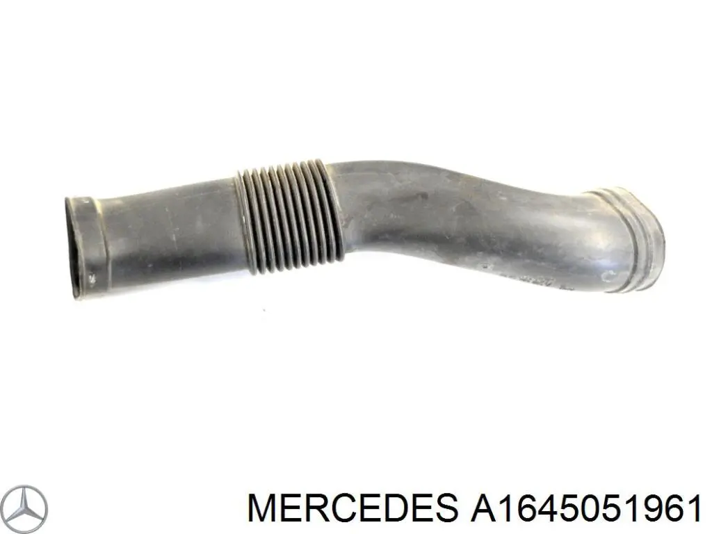  1645051961 Mercedes