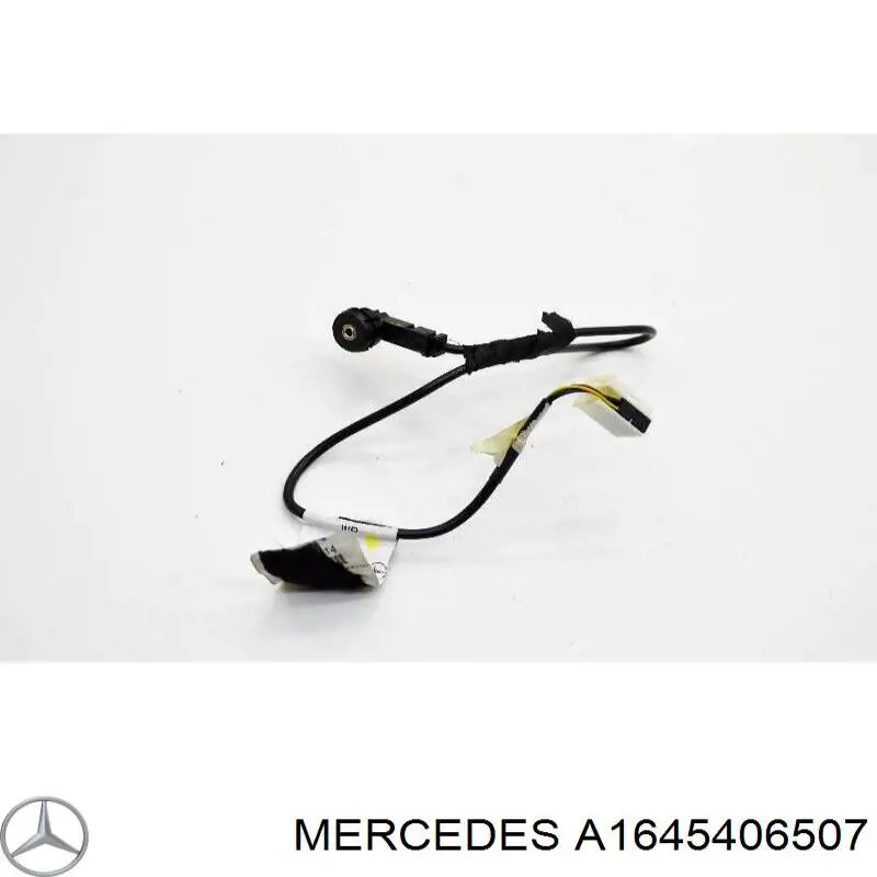A1645406507 Mercedes 
