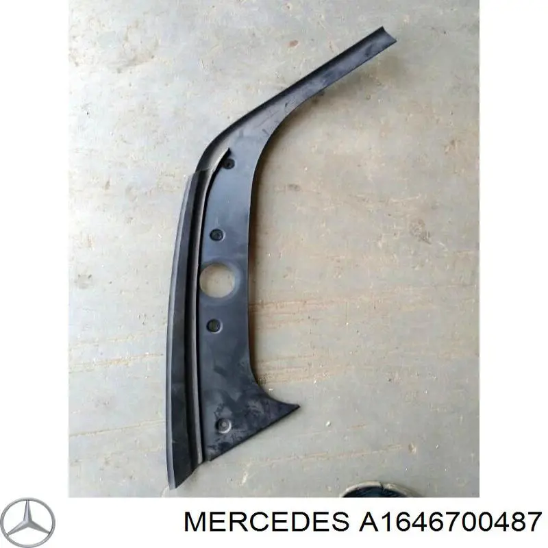  Mercedes A1646700487