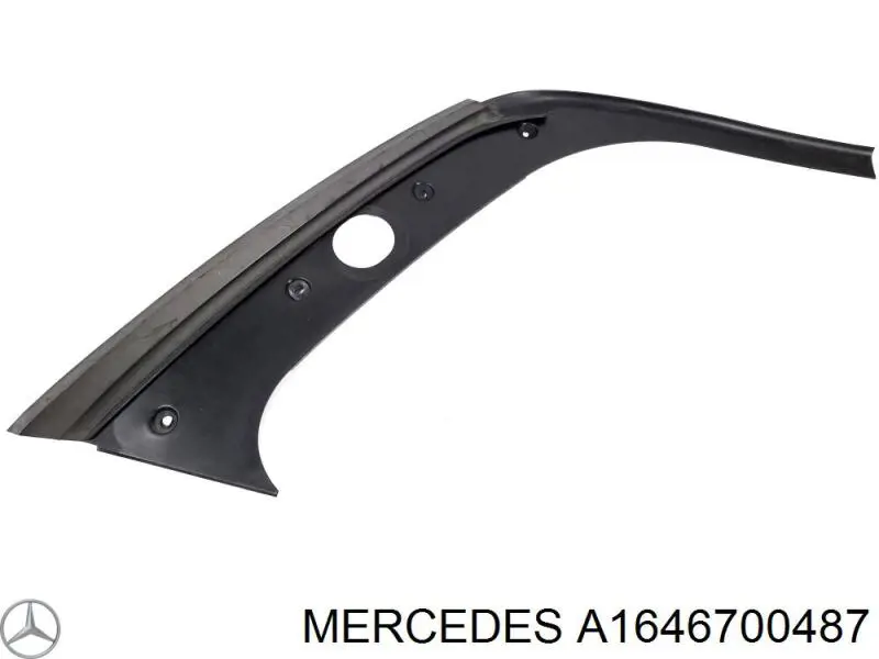 A1646700487 Mercedes 