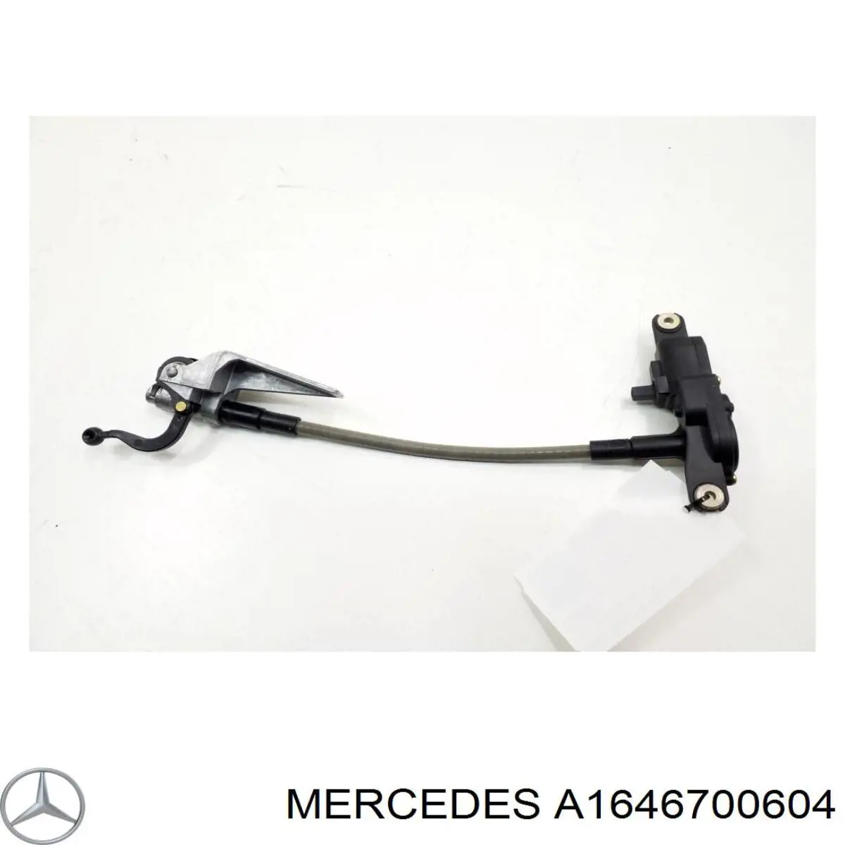 A1646700604 Mercedes 