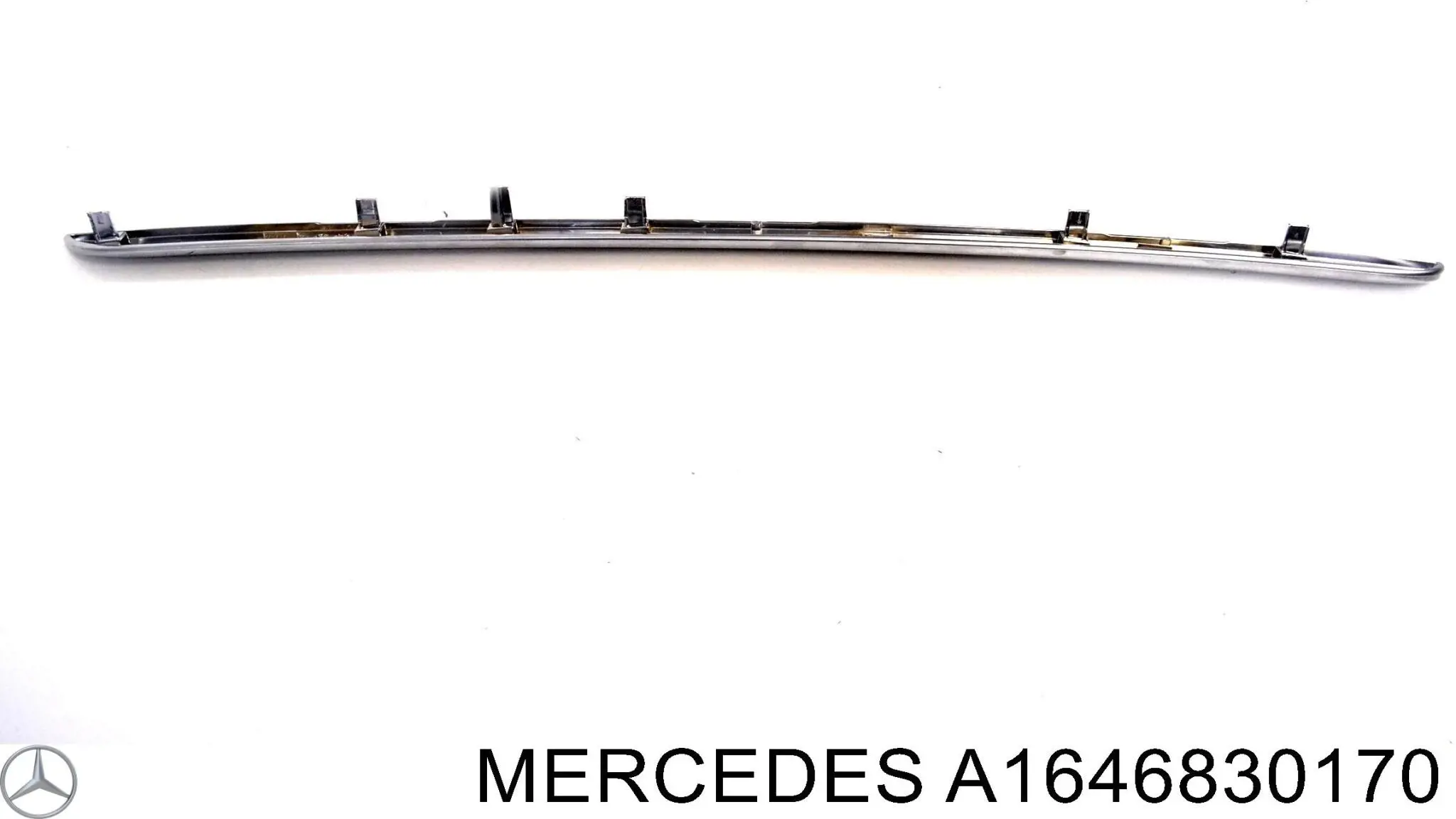 A1646830170 Mercedes 