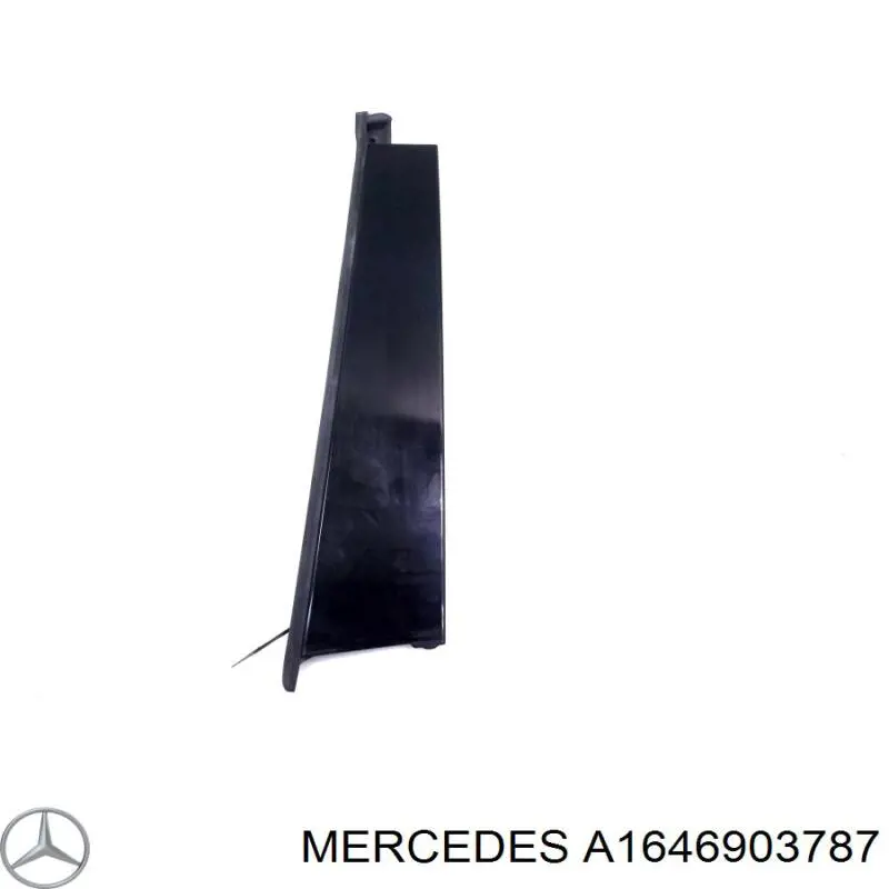 A1646903787 Mercedes 