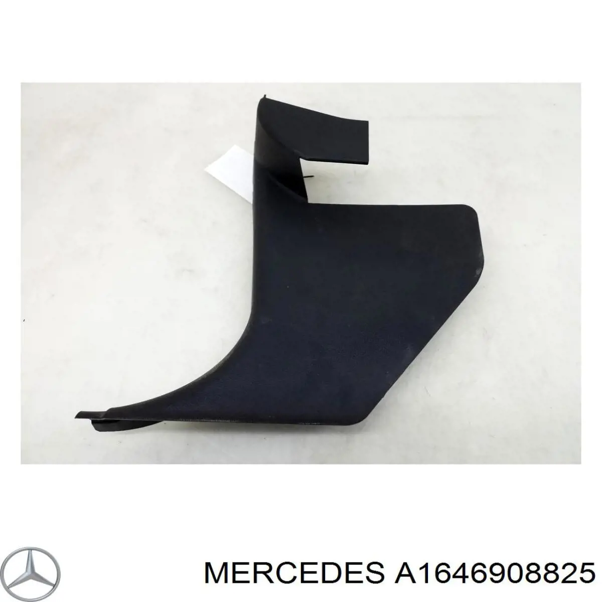 A1646908825 Mercedes 