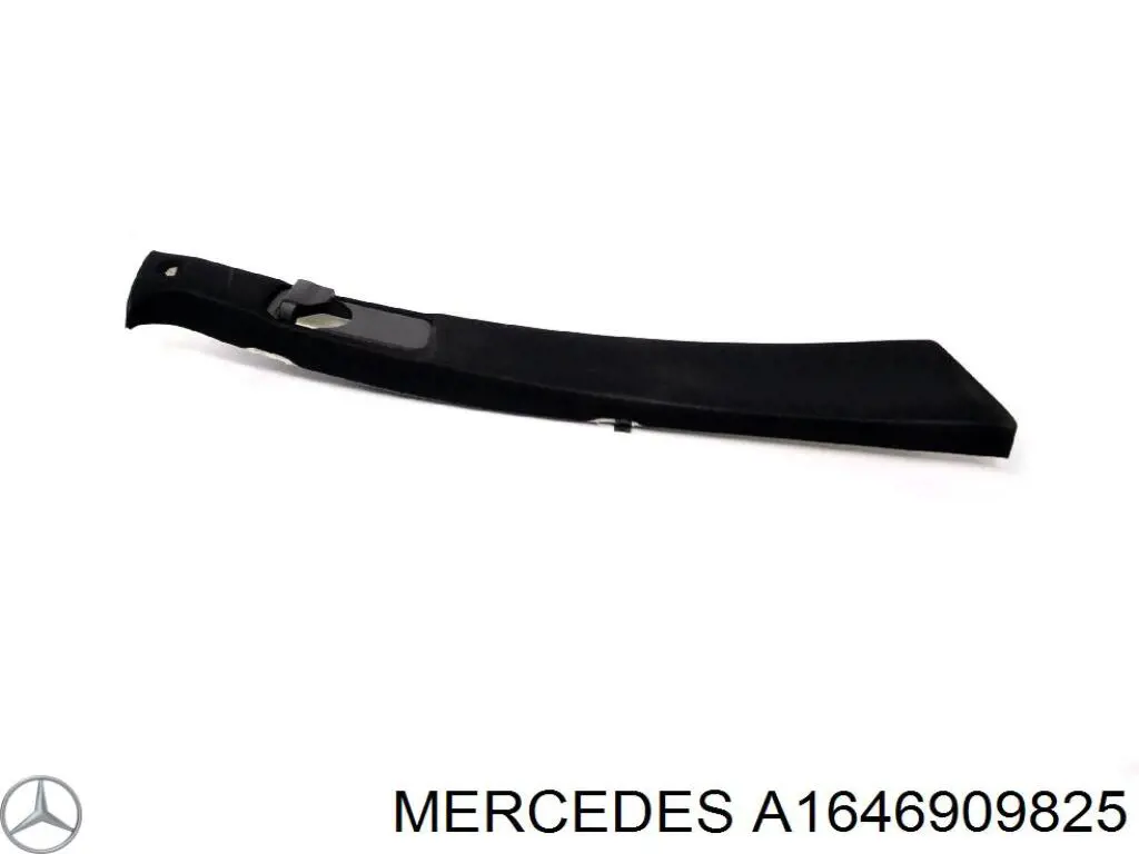 A1646909825 Mercedes 