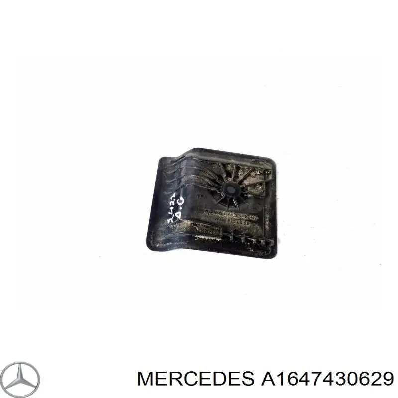 A1647430629 Mercedes 