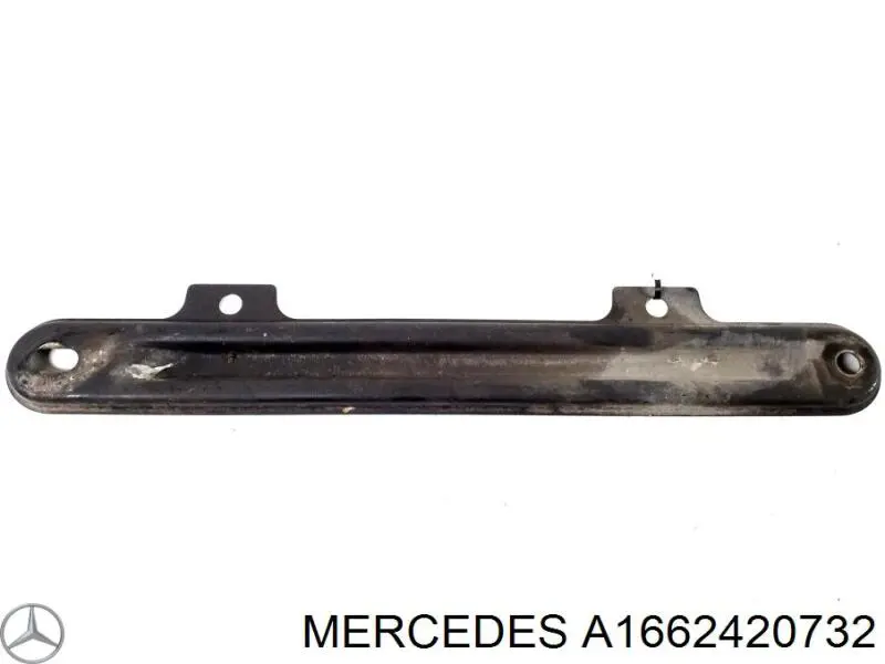 A1662420732 Mercedes 