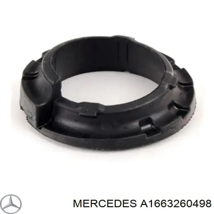  A1663260498 Mercedes