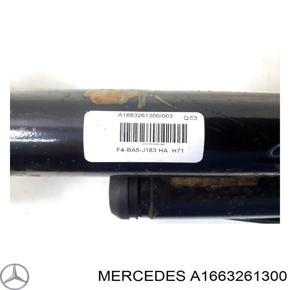 Купити A1663261300 Mercedes 