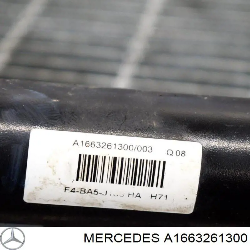 A1663261300 Mercedes 
