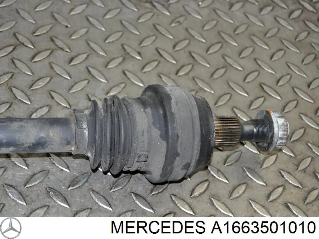  A1663501010 Mercedes